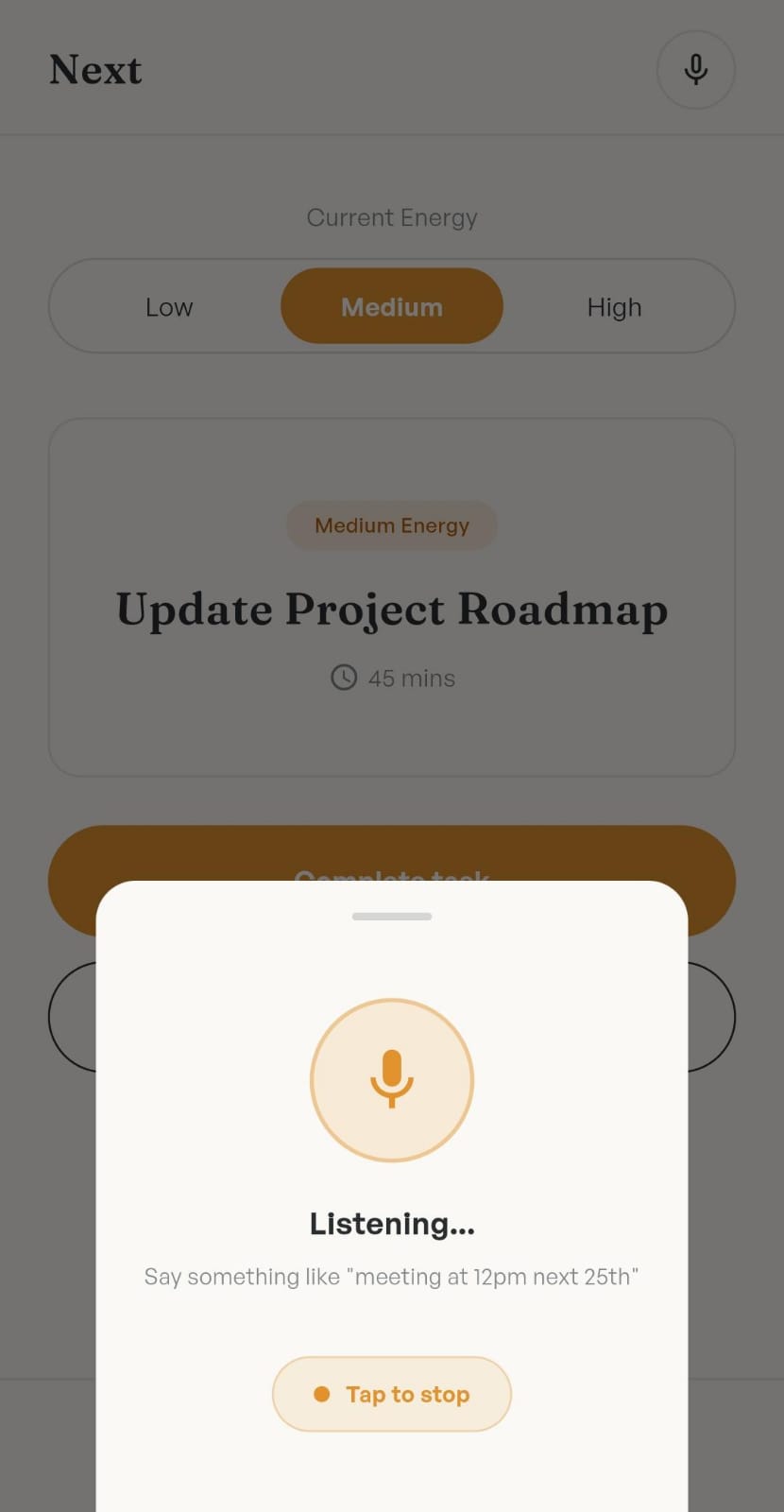Voice Input UI